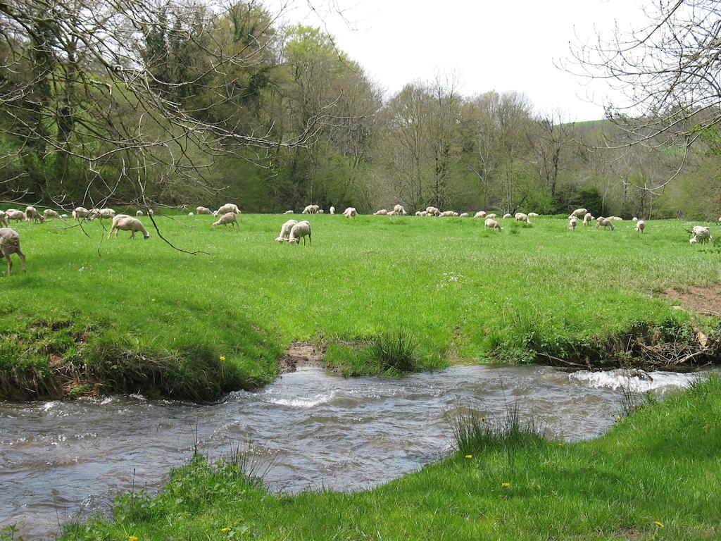 Le Moulin Du Barthas Bed & Breakfast Montredon-Labessonnié Eksteriør bilde